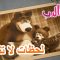 لحظات لا تنتسى 🐻👱‍♀️ ماشا والدب 💗 Masha and the Bear