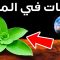 ما الذي يتطلبه الأمر لجعل كوكب المريخ شبيهاً بالأرض؟